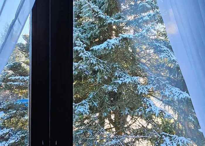 A-frame Am Ochsenkopf Prázdninový dům *