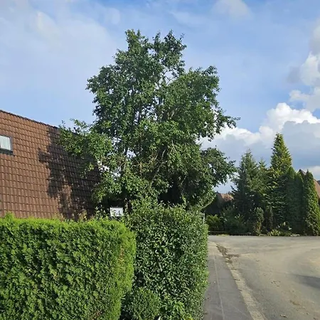 Prázdninový dům A-frame Am Ochsenkopf Mehlmeisel