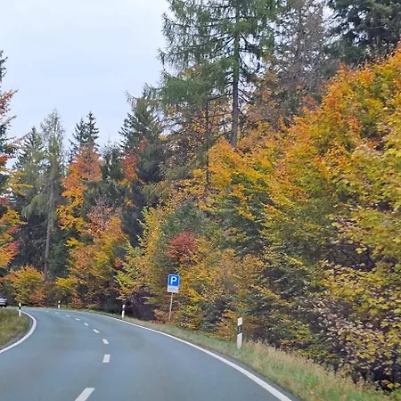 A-frame Am Ochsenkopf Tatil Evi