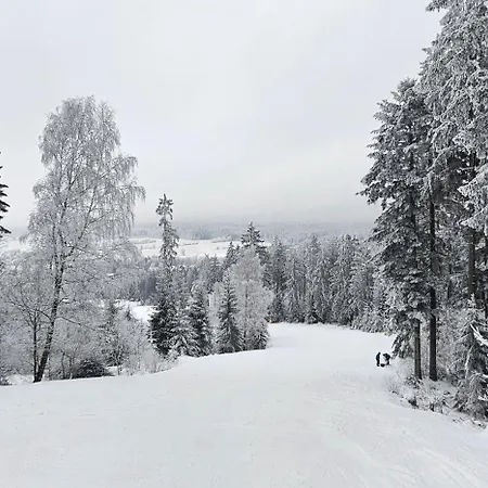 A-frame Am Ochsenkopf * Mehlmeisel