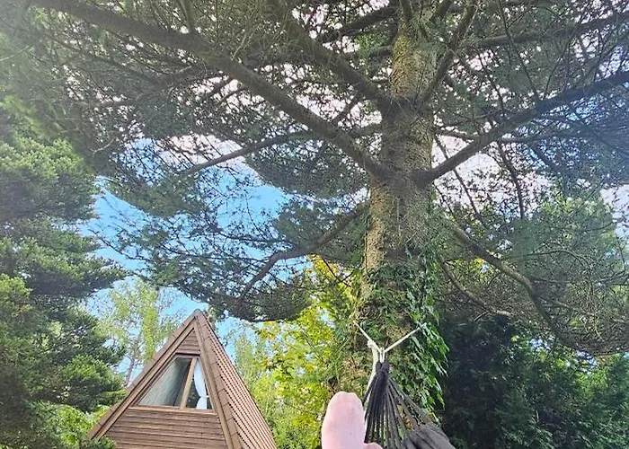Holiday home A-frame Am Ochsenkopf *