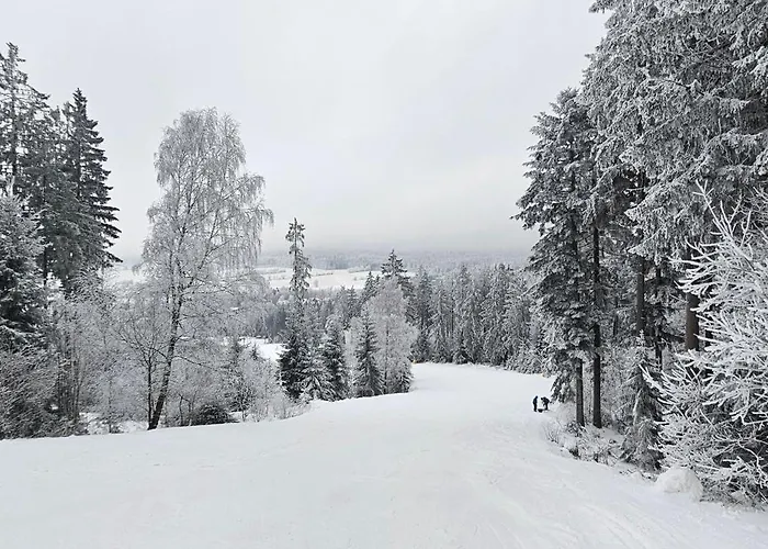A-frame Am Ochsenkopf * Mehlmeisel