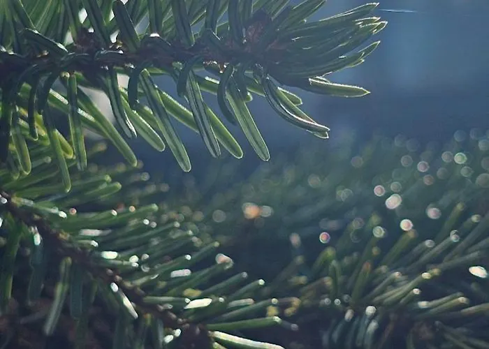 A-frame Am Ochsenkopf Tatil Evi Mehlmeisel
