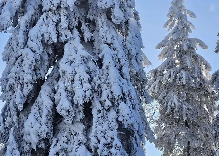 A-frame Am Ochsenkopf Mehlmeisel