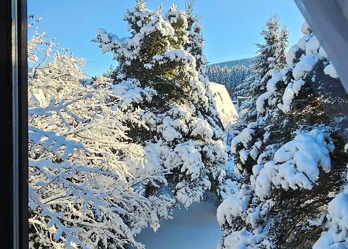 Tatil Evi A-frame Am Ochsenkopf Mehlmeisel
