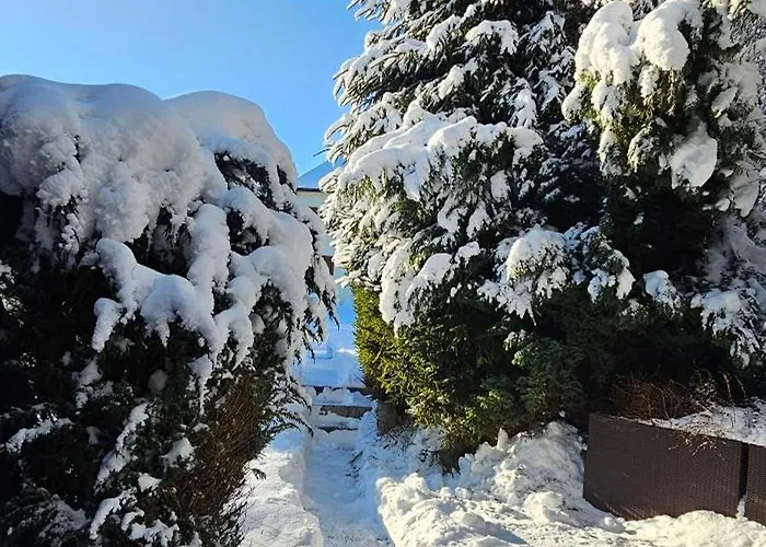 Tatil Evi A-frame Am Ochsenkopf *