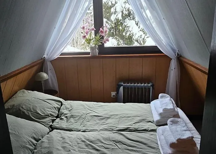 A-frame Am Ochsenkopf Mehlmeisel